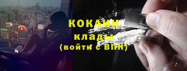 молекула духа Михайлов