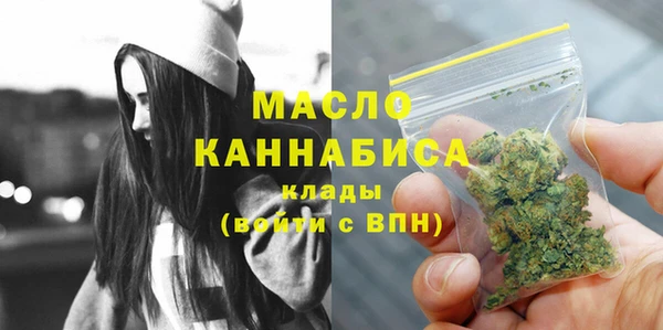 молекула духа Михайлов