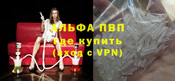 молекула духа Михайлов