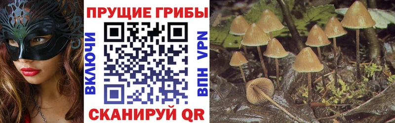 Галлюциногенные грибы Cubensis  Севастополь 
