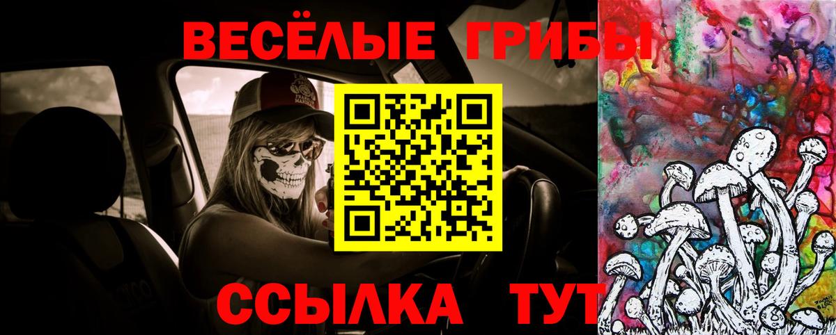 купить  цена  Вход с VPN  Севастополь  Галлюциногенные грибы Cubensis 